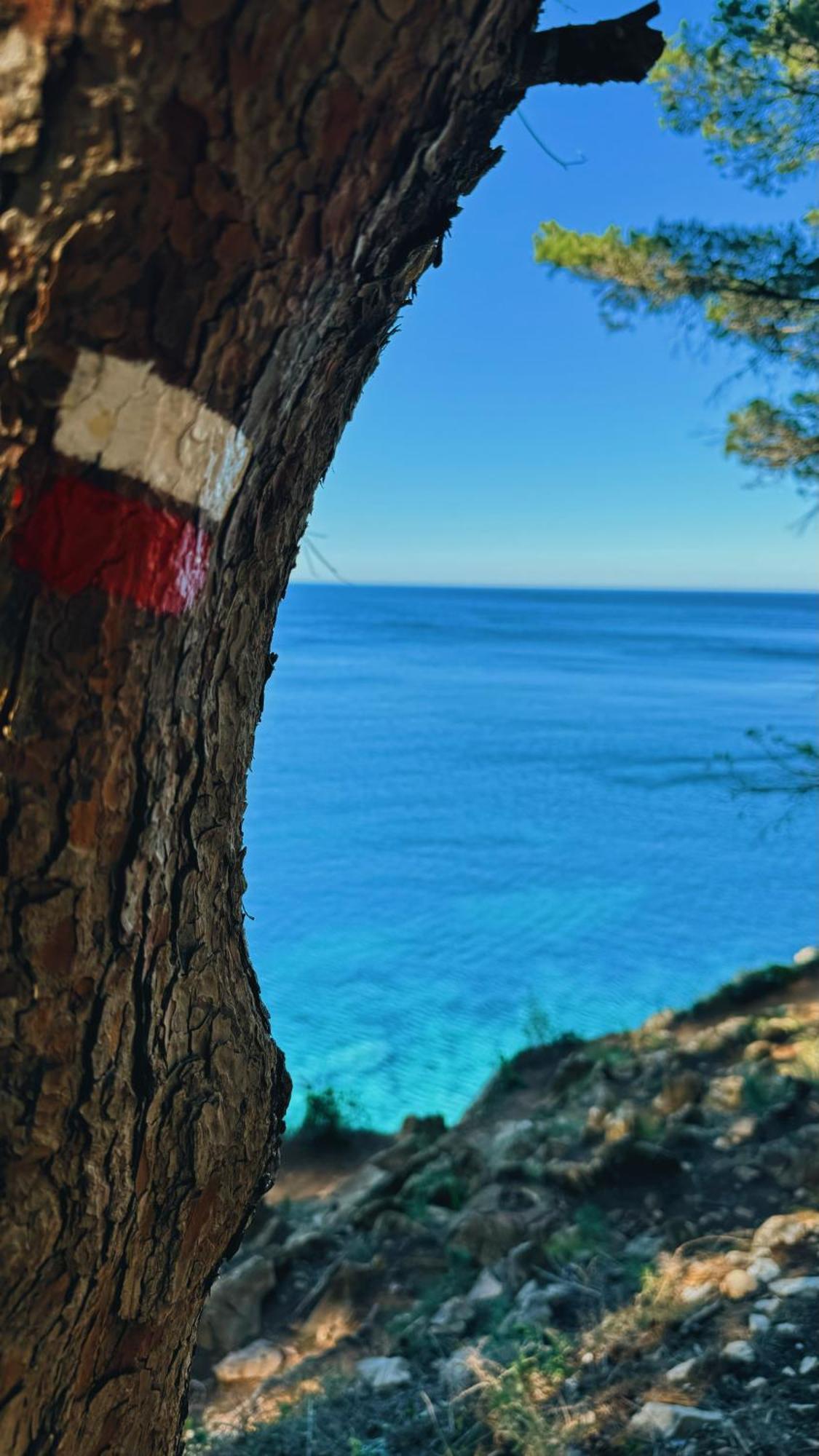 L' Escala Can Romy Appartement T2F A 20M De La Plage De Cala Montgo מראה חיצוני תמונה